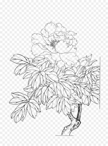 Moutan peony Gongbi Flower Painting - peony 