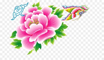Moutan peony Image Illustration Clip art - bilderrahmen ornament 