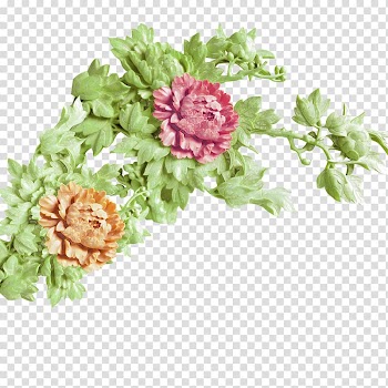 Moutan peony , peony transparent background PNG clipart