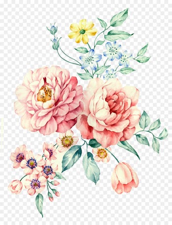Moutan peony Watercolor painting Download - Hand-painted watercolor White Peony 