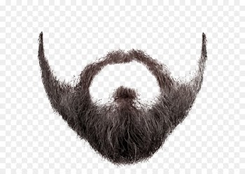 Movember Beard Clip art - Beard 