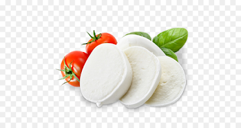 Mozzarella cheese png download - 652*480 - Free Transparent ...