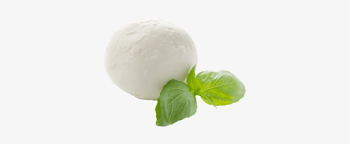 Mozzarella - Mozzarella Png - Free Transparent PNG Download - PNGkey