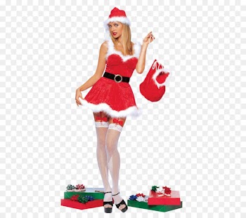 Mrs. Claus Santa Claus Halloween costume Costume party - pub 