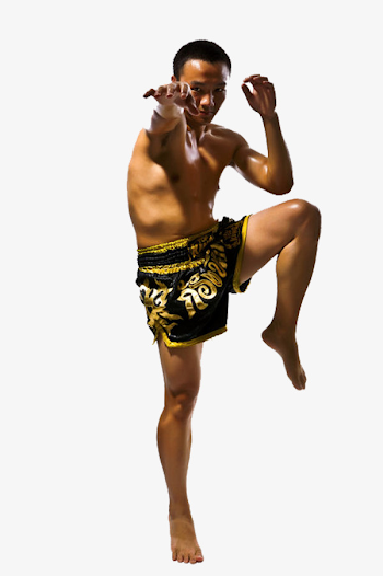 Muay Thai Real, Muay Thai, Reality, Leg PNG Image and Clipart for ...