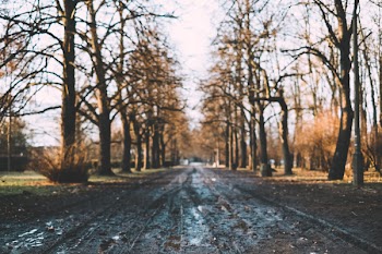 Muddy park alley