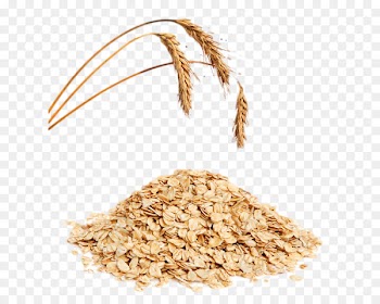 Muesli Oat Breakfast cereal Corn flakes Ear - oats 