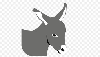 Mule Android application package Android Ice Cream Sandwich Mobile app - android 