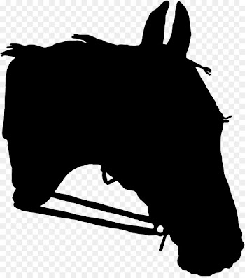 Mule Bridle Donkey Halter Mustang -  