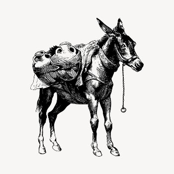 Mule clipart, vintage hand drawn | Free Vector - rawpixel