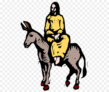 Mule Donkey Bethlehem Palm Sunday Clip art - donkey png download ...