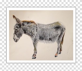 Mule Donkey Fauna Snout Wildlife, Watercolor pastel transparent background PNG clipart
