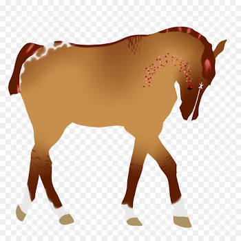 Mule Foal Donkey Mustang Stallion - bangerz filigree 