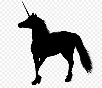 Mule Foal Mustang Donkey Stallion -  