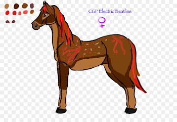 Mule Foal Stallion Mare Mustang - mustang 