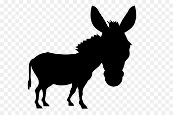 Mule Mustang Bridle Stallion Donkey -  