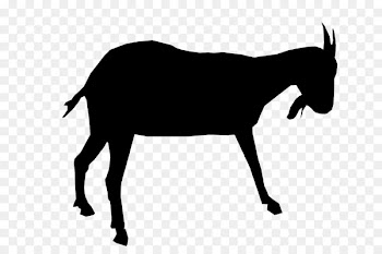 Mule Mustang Cattle Donkey Deer -  