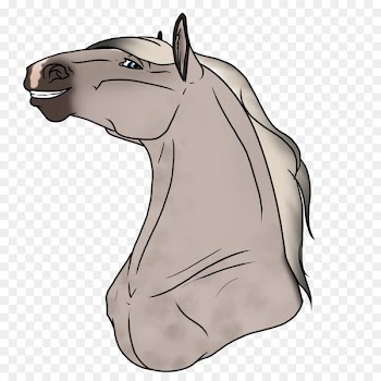 Mule Mustang Donkey Stallion Mane - auras graphic 
