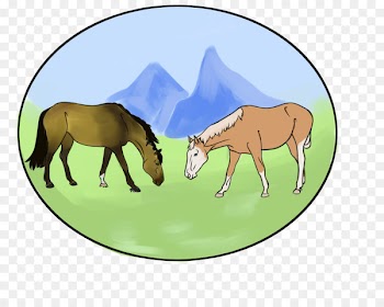 Mule Mustang Foal Mare Colt - mustang 
