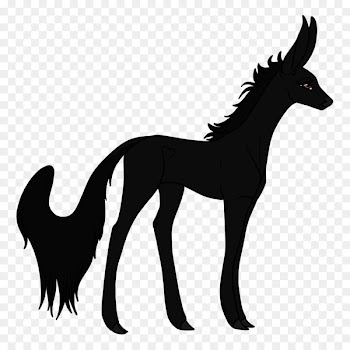 Mule Mustang Foal Stallion ourWorld - herd 