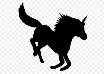 Mule Mustang Stallion Donkey Halter -  