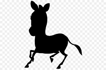 Mule, Mustang, Stallion, Mammal, Vertebrate PNG