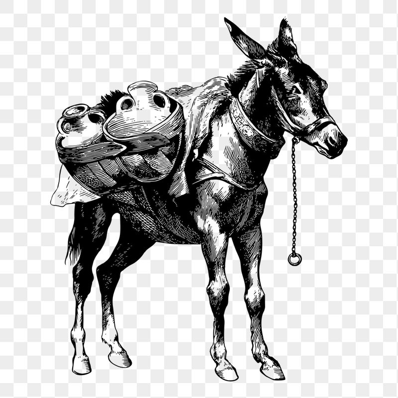 Mule png sticker illustration, transparent | Free PNG - rawpixel