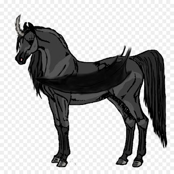 Mule Stallion Arabian horse Mare Foal - mustang 