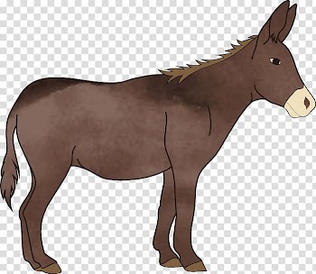 Mule T-shirt Pony Donkey, Donkey watercolor transparent background PNG clipart