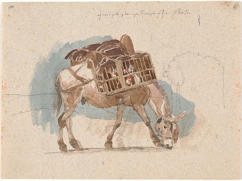 Mule with chicken coop by Johan | Free Photo - rawpixel