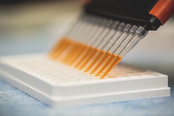 Multi Channel Pipette And Assay Plate