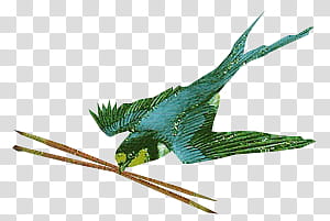 , multi-colored abstract bird artwork transparent background PNG clipart