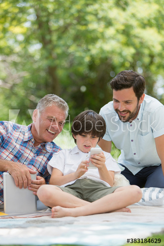 Multi-generation family, using smart phone on picnic blanket in park