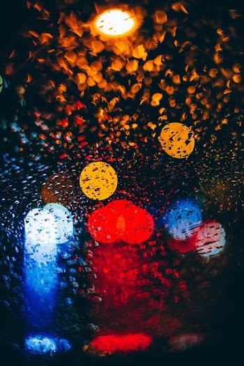 multicolored bokeh lights