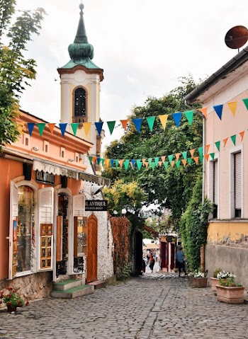 Multicolored Buntings Above Empty Road Between Buildings
