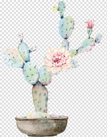 Multicolored cactus illustration, Watercolour Flowers Watercolor painting Cactaceae Drawing, Water color flower, green plant cactus transparent background PNG clipart