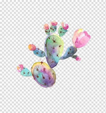 Multicolored cactus , Watercolor painting, Hand painted watercolor cactus decorative pattern transparent background PNG clipart