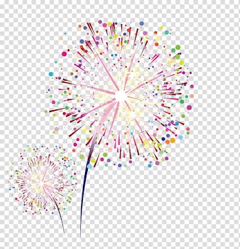 Multicolored firework , Sumidagawa Fireworks Festival Graphic design, Colorful fireworks transparent background PNG clipart
