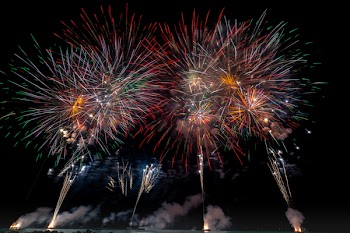 Multicolored Fireworks on Night Sky