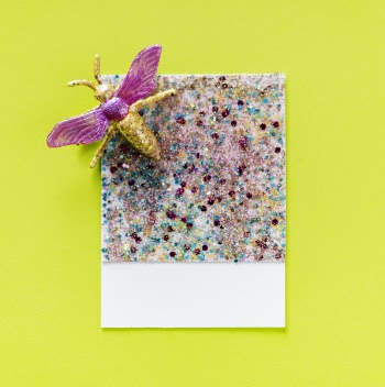 Multicolored Glittered With Fly Accent