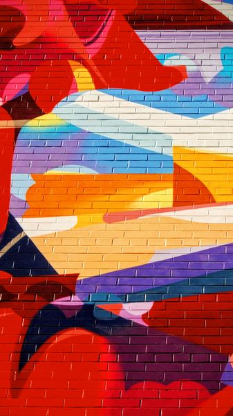 multicolored mural painting