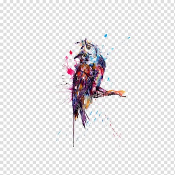 Multicolored owl paint splatter, Owl Tattoo Watercolor painting Drawing Sketch, Watercolor Owl transparent background PNG clipart