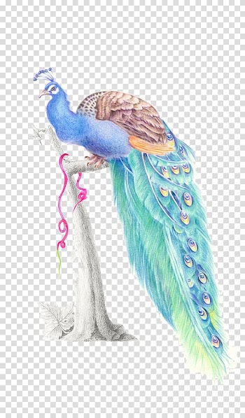 Multicolored peafowl on tree trunk illustration, Feather Watercolor painting Peafowl, peacock transparent background PNG clipart