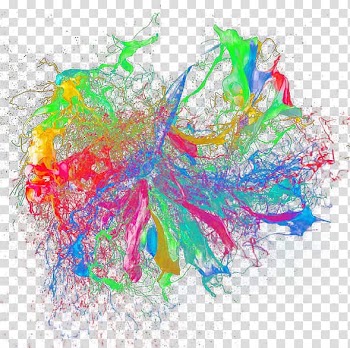 Multicolored splash , Color Pigment Painting, Paint splatter transparent background PNG clipart