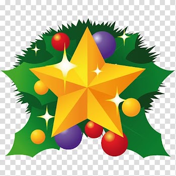 Multicolored star and baubles illustration, pine family christmas ornament leaf symmetry tree, Christmas star transparent background PNG clipart