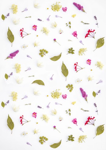 Multicolored Wallpaper