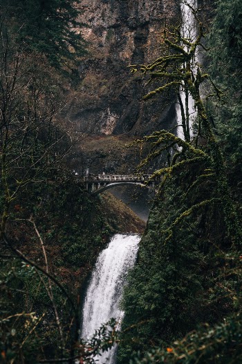 Multnomah Falls in Portland, OR. 