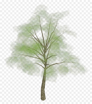 Mumble, Drawing, Email, White Pine, Leaf PNG