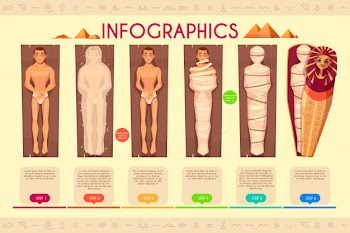 Mummy creation infographics, steps of mummification process, timeline. Free Vector