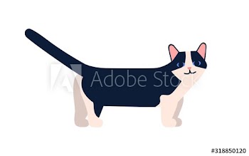 Munchkin cat breed vector flat illustration